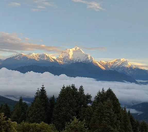 Annapurna Panchase Trek 7 days.