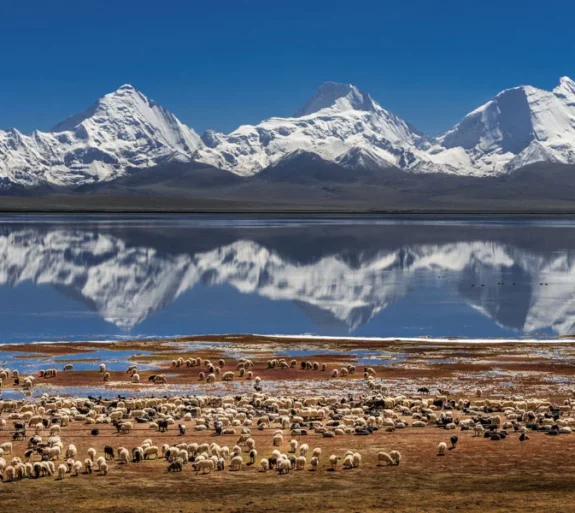 Kathmandu Lhasa Group Tour 8 Days.