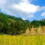 Kathmandu Nagarkot Tour.