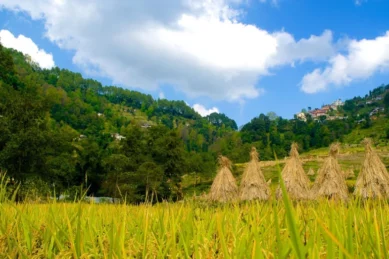 Kathmandu Nagarkot Tour.